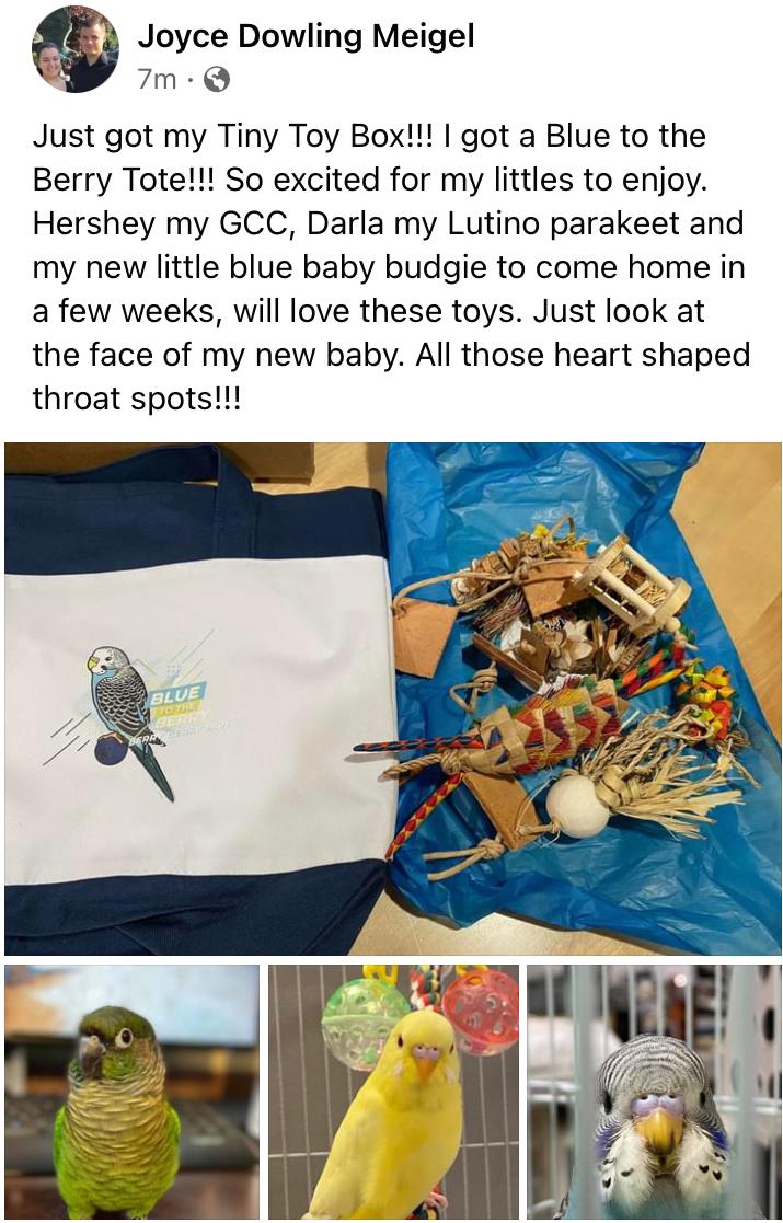 Tiny Toy Box (Bundle of 8)