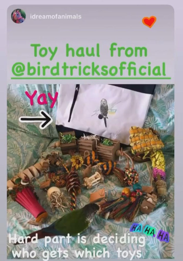 Tiny Toy Box (Bundle of 8)